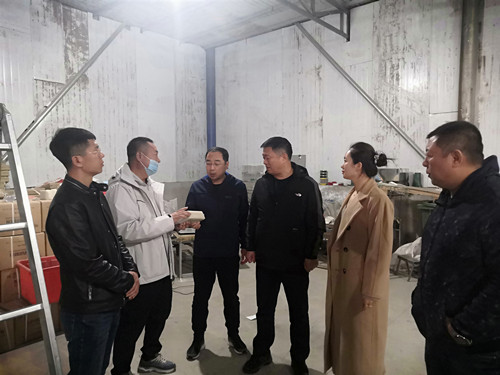 图为调研现场